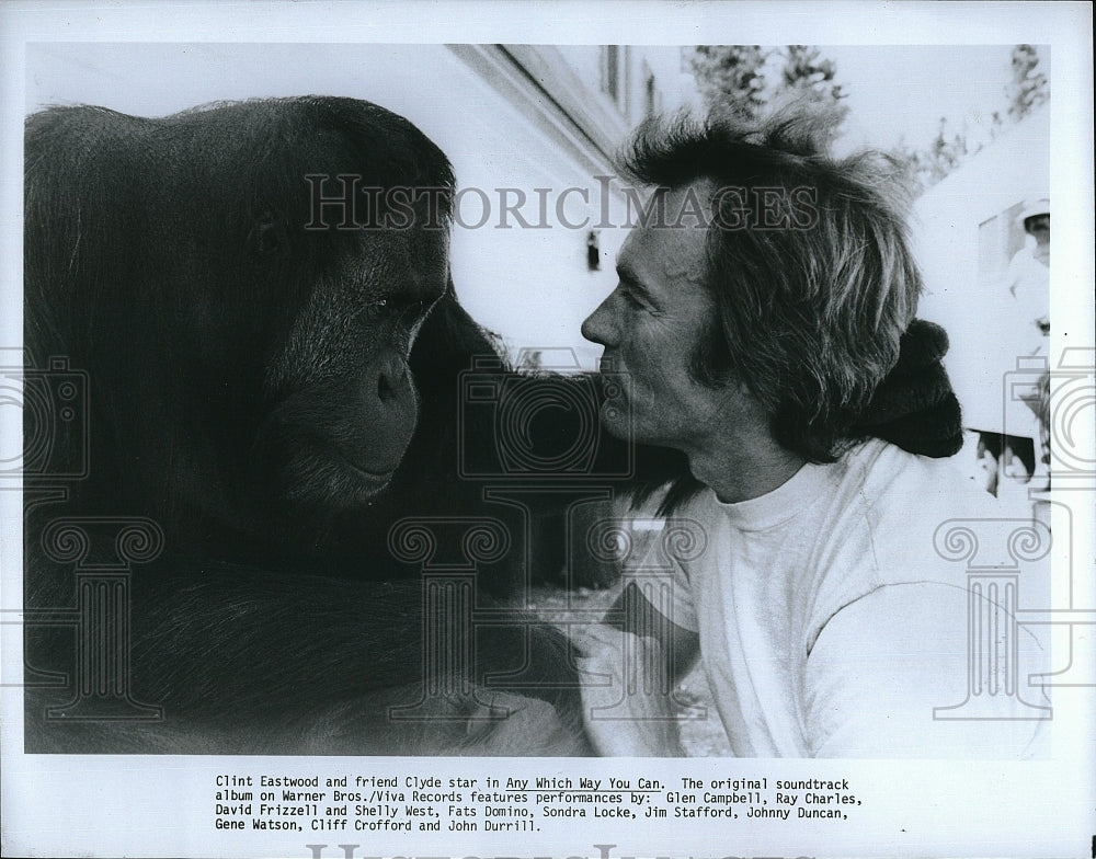 1980 Press Photo Clint Eastwood, Clyde &quot;Any Which Way You Can&quot;- Historic Images