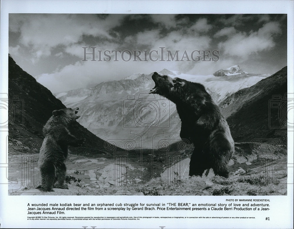 1989 Press Photo A wounded kodiak bear and a cub in &quot;The Bear&quot;- Historic Images