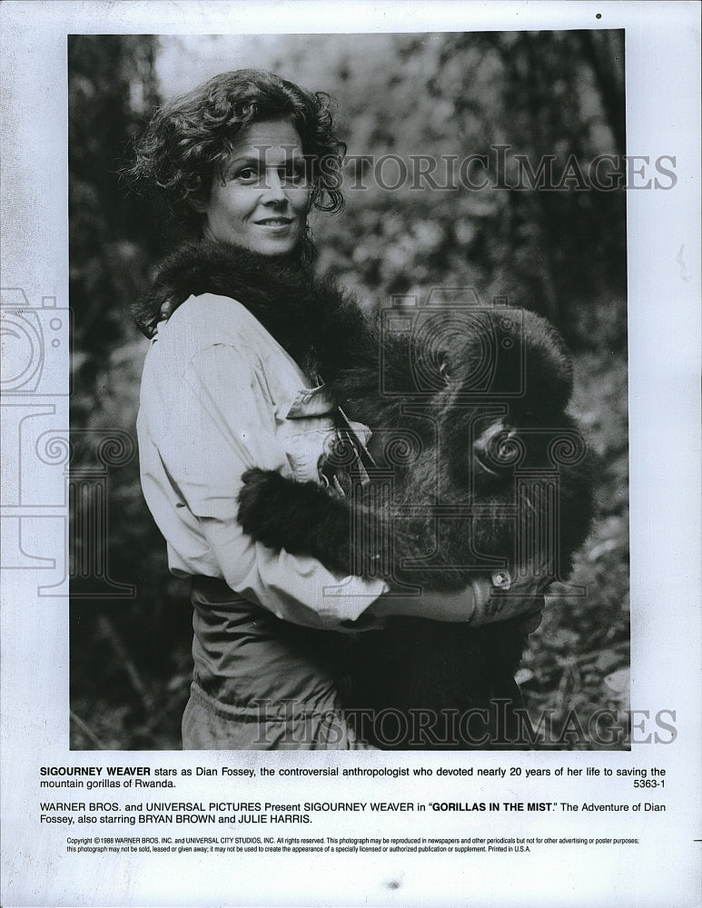 1988 Press Photo Sigourney Weaver stars in &quot;Gorillas In The Mist&quot;- Historic Images