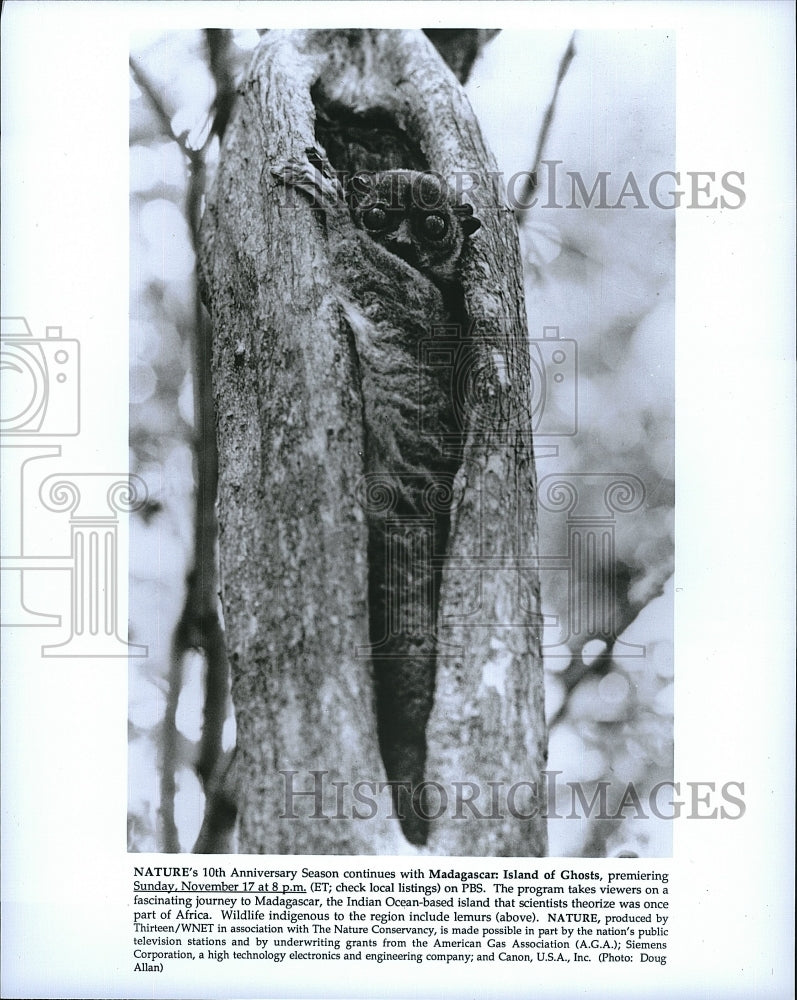 Press Photo Madagascar: Island of Ghosts on PBS- Historic Images