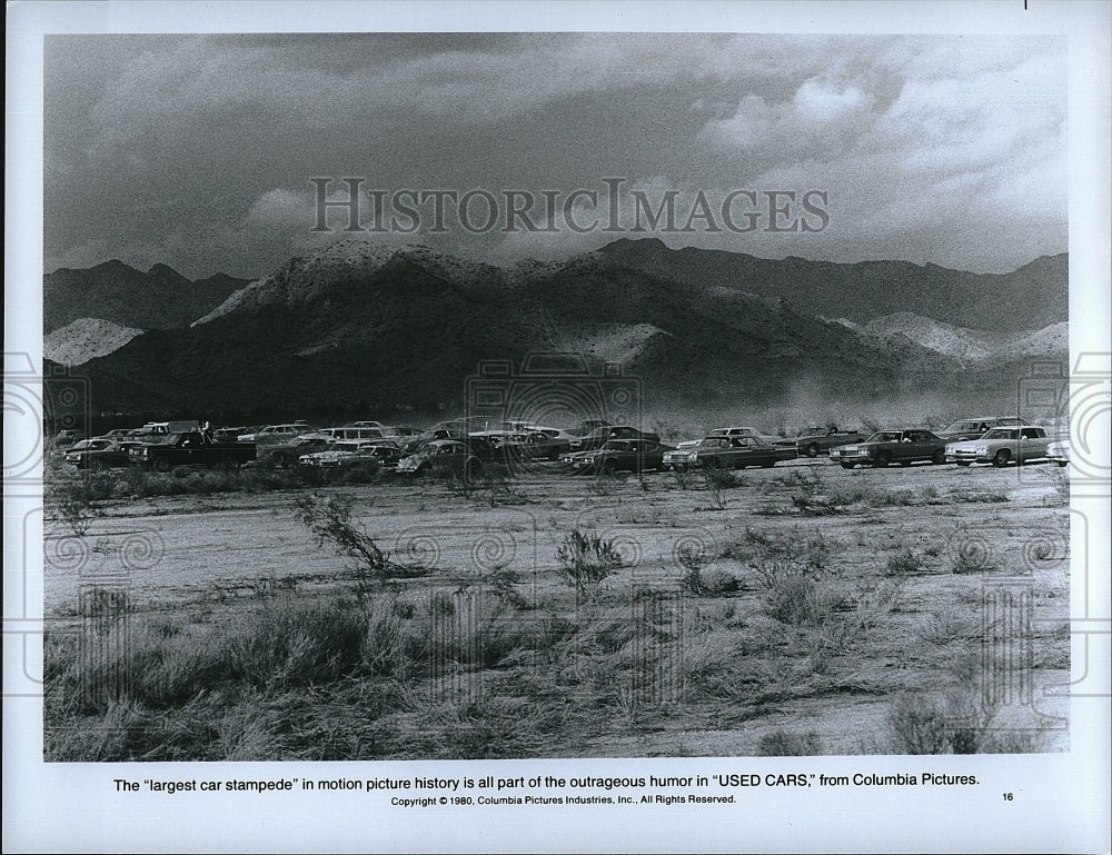 1980 Press Photo The largest car stampede in &quot;Used Cars&quot;- Historic Images