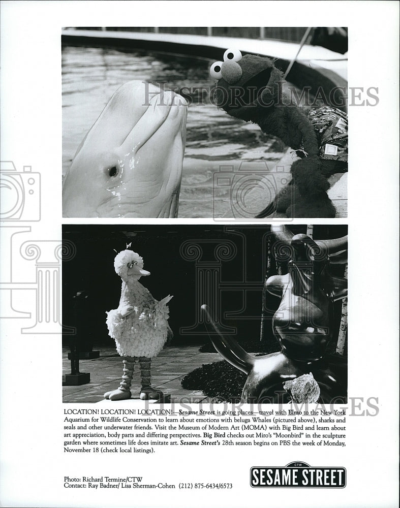 1991 Press Photo &quot;Sesame Street&quot; at New York Aquarium- Historic Images