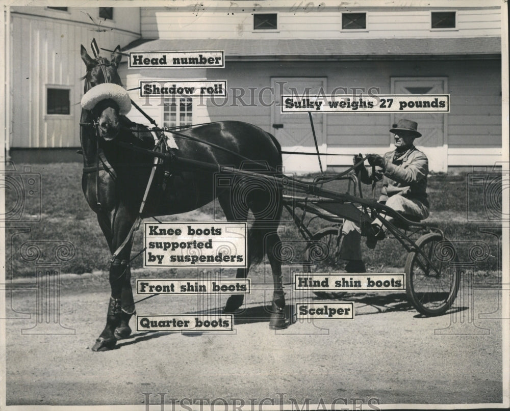 1946 Press Photo Horse Racer Harness Driver