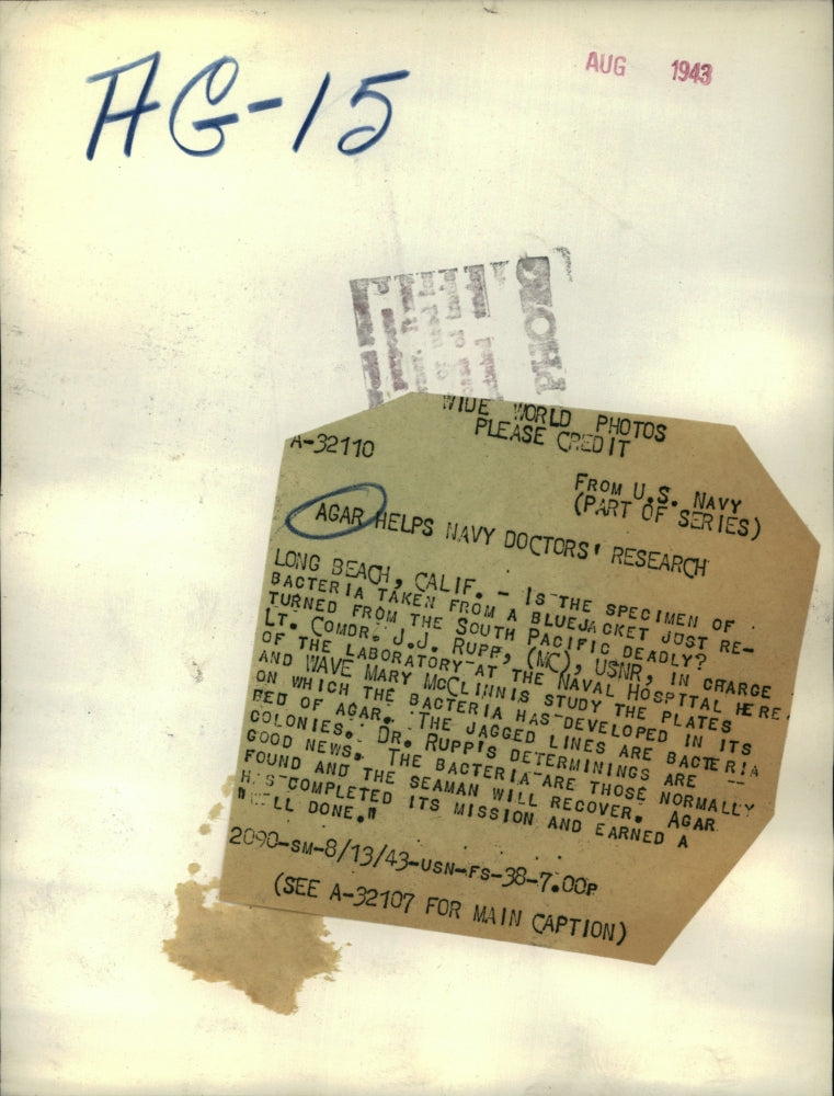 1943 Press Photo Agar helps navy doctor's research. - RRR44753