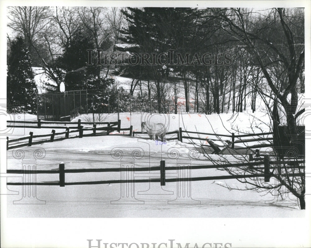 1962 Press Photo Winter Scenery - RRR89803- Historic Images