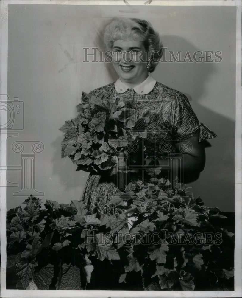 1954 Press Photo Garfieldand Lincoln Park Piggy Show - RRU59109