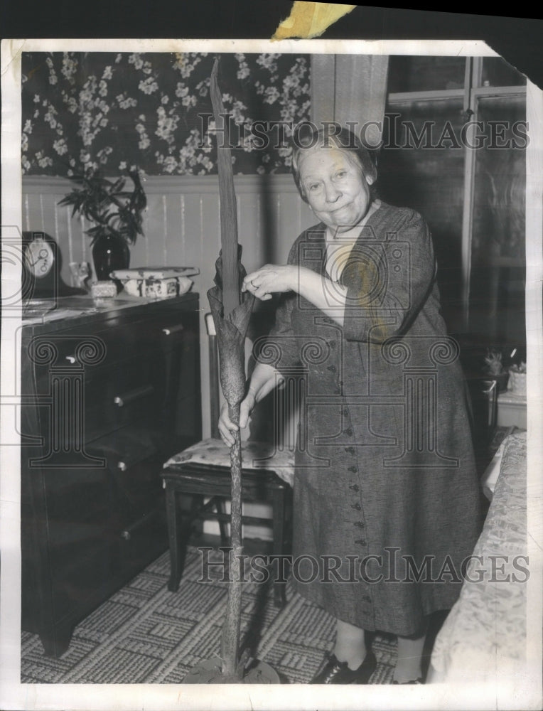 1955 Press Photo  INDIA LILY MRS JOHN HAHN - Historic Images