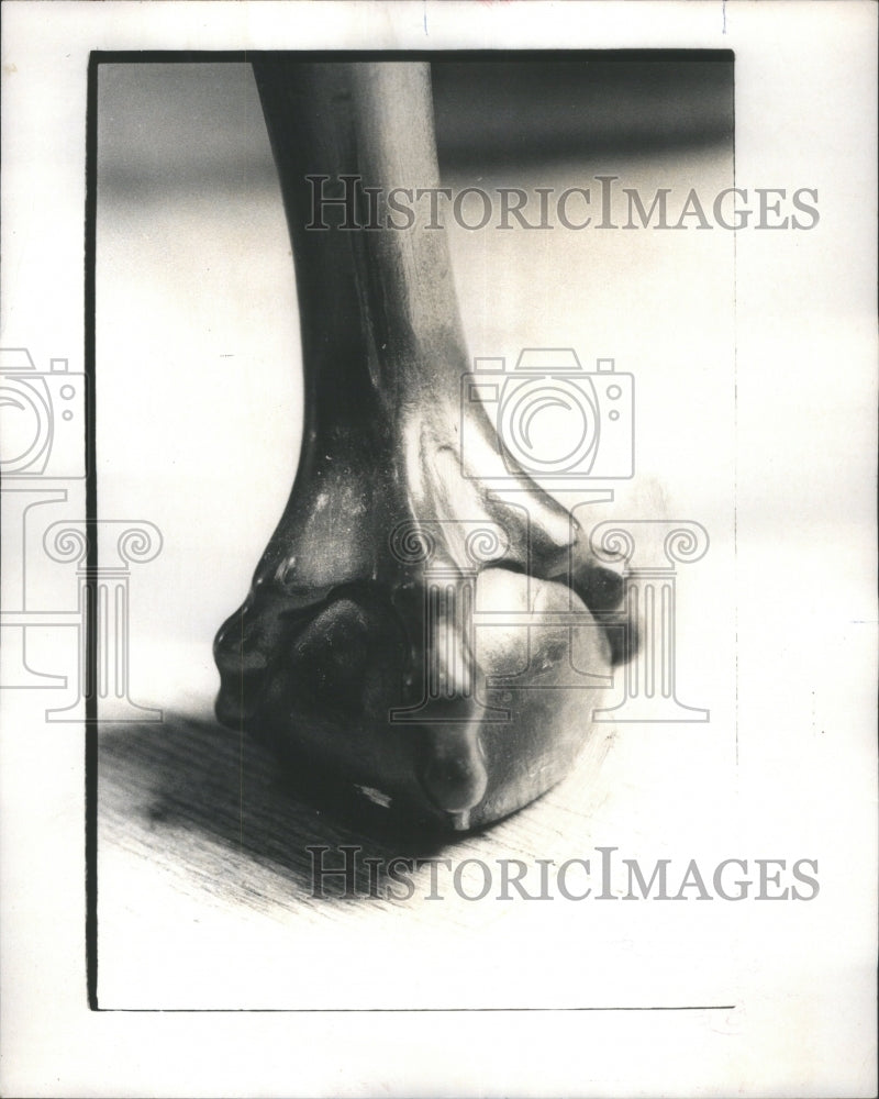 1971 Press Photo Claw Ball Foot Wallnut Chippendale - RRU74087