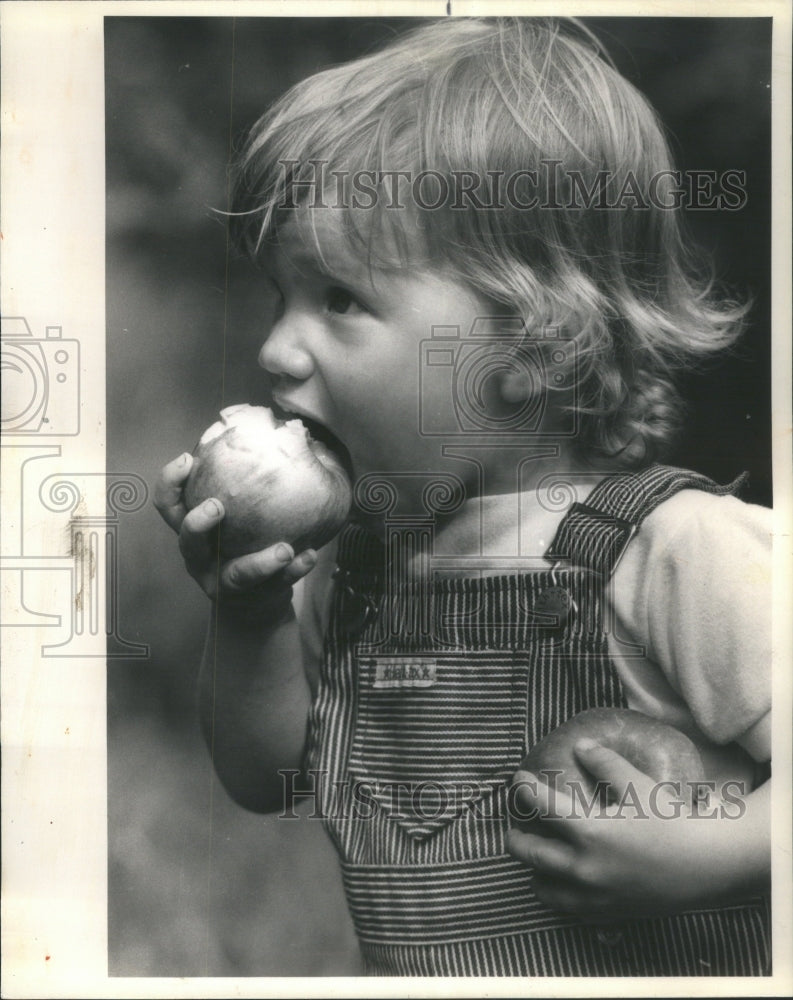 1984 Press Photo Hanover Red Candy Wauconda kristyn Ruh- Historic Images