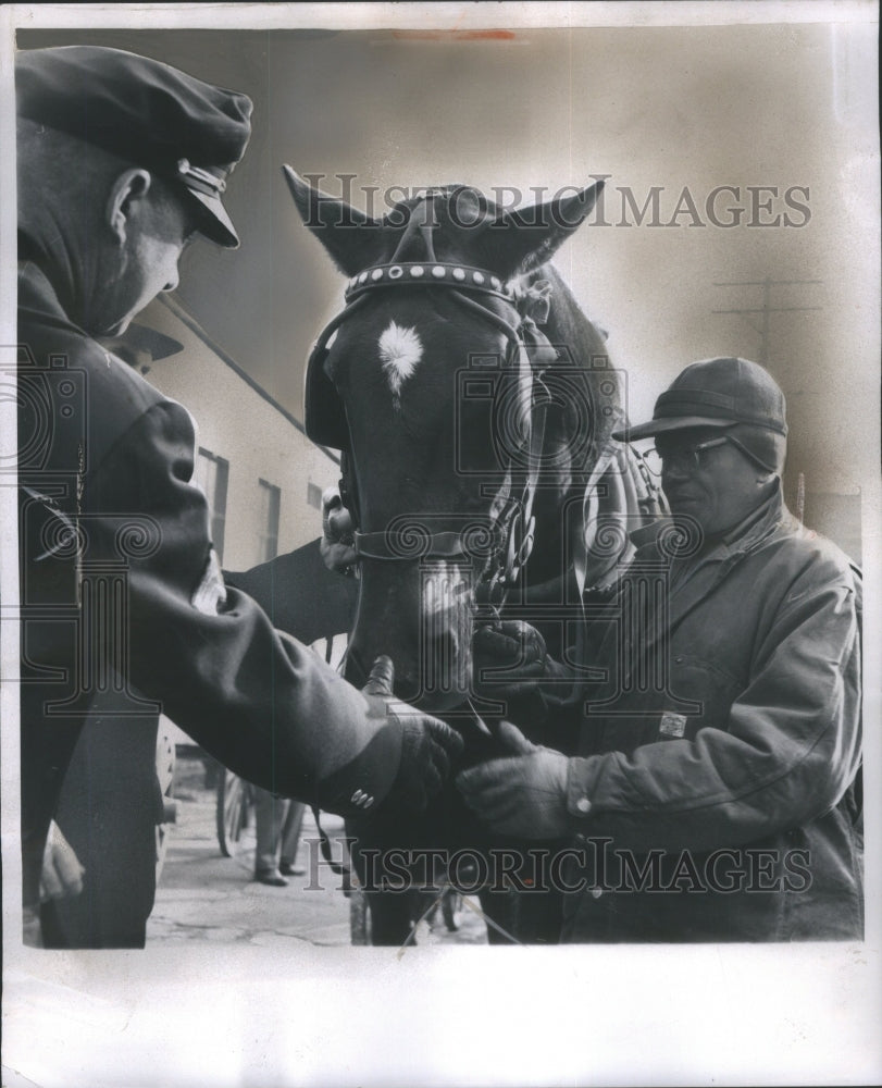 1960 Press Photo Michigan Humane Society/Horse- Historic Images