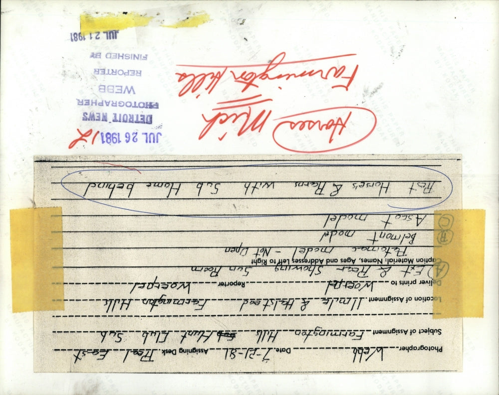 1981 Press Photo Farmington Hills Horses - RRV03521