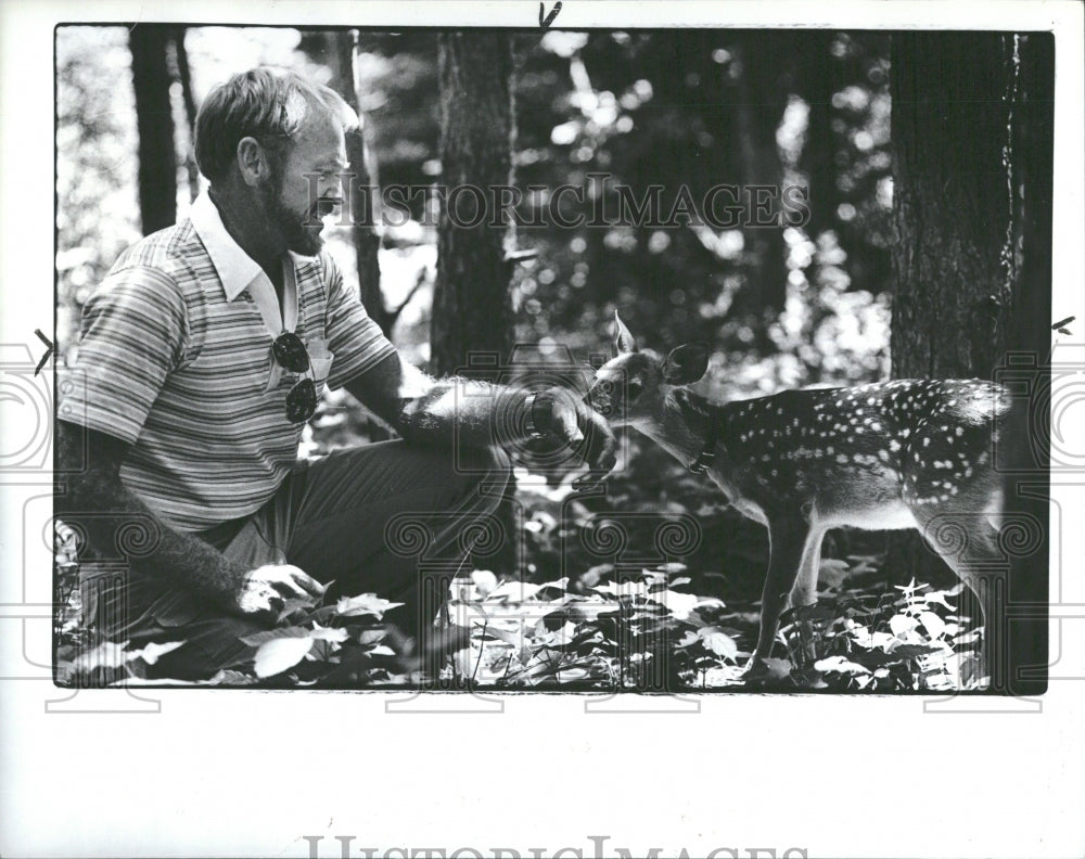 1984 Press Photo Baby Deer EL Johnson Nature Center MI - RRV36569- Historic Images