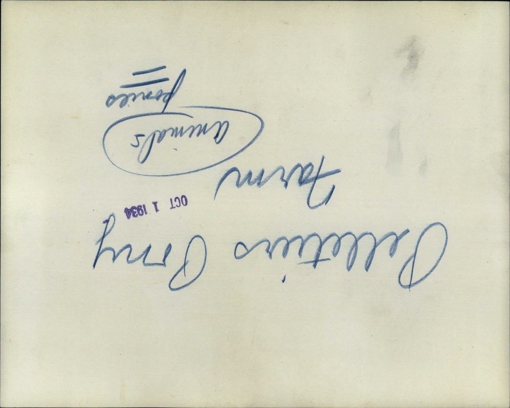 1934 Press Photo Ponies Animals Nature Farm - RRV51973