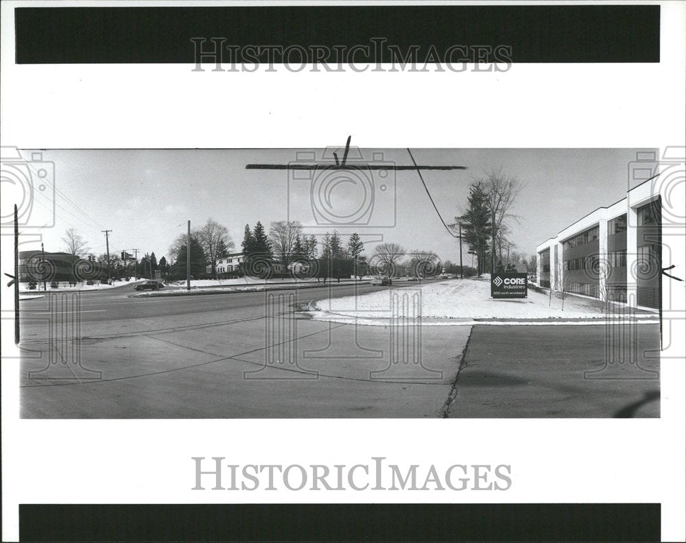 1983 Press Photo Pine Woodward Michigan Street Cities - RRV54193- Historic Images