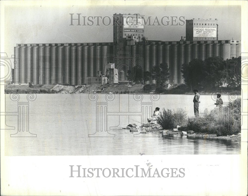 1981 Press Photo Nature Chicago Lake Calumet Region - RRV67705- Historic Images