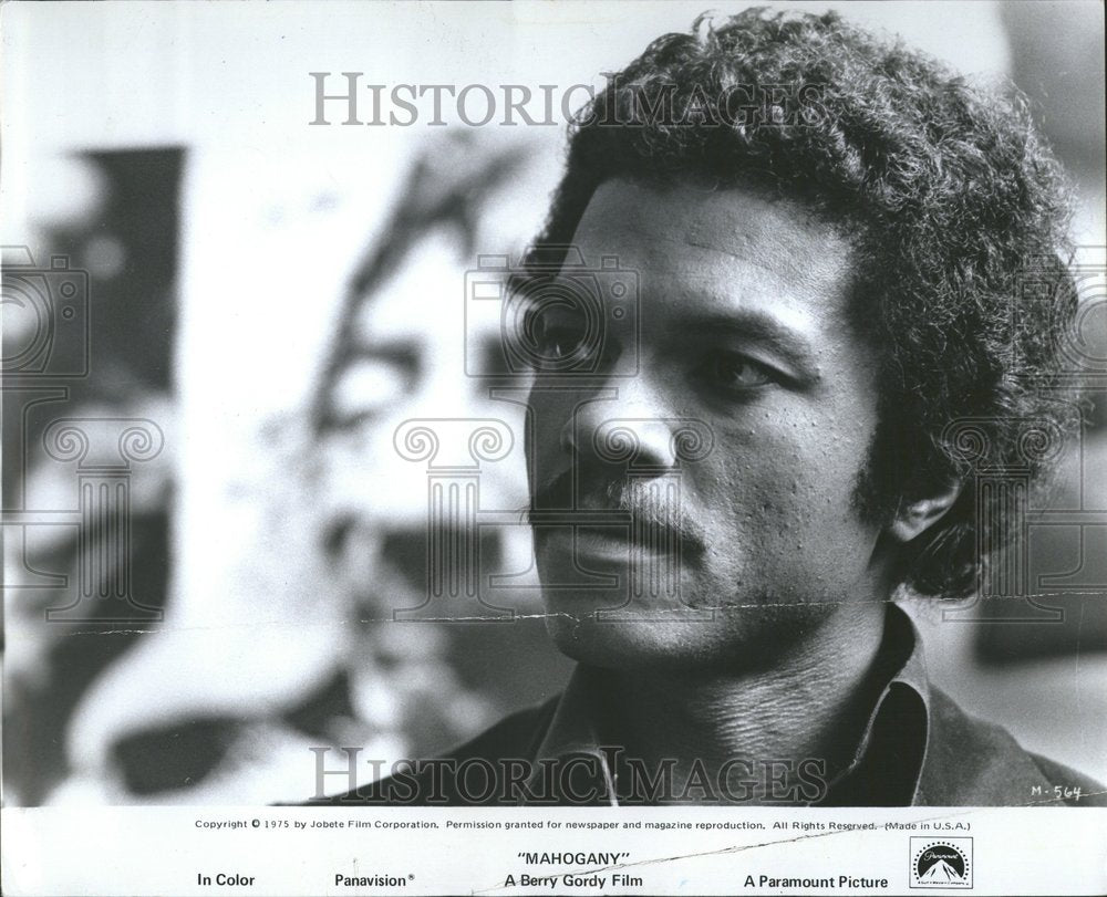 1975 Press Photo Billy Dee Williams/Actor/Singer/Artist - RRV71075- Historic Images