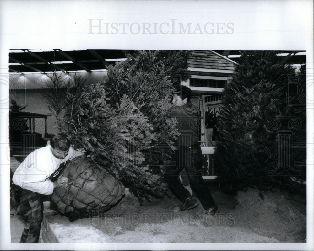 1991 Press Photo Detroit Home Flower Garden Show - RRX04643- Historic Images