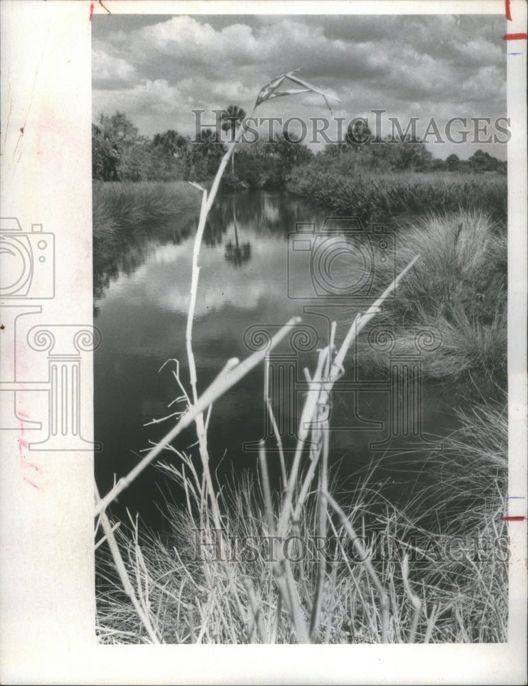 1972 Press Photo Newfound Knowledge Ecological Yeild- RSA10631- Historic Images