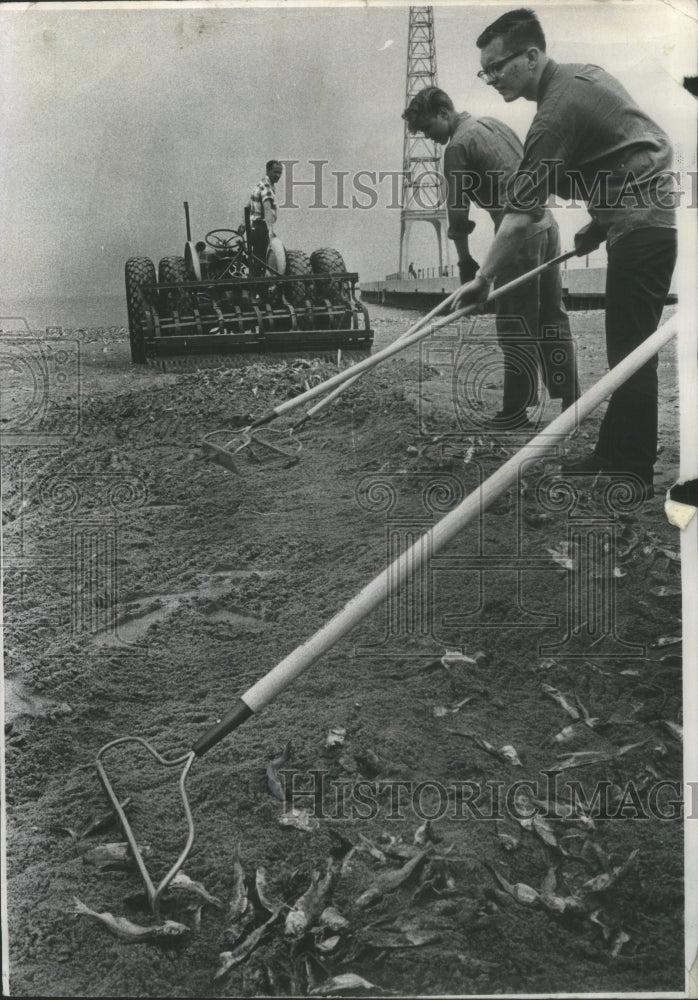 1967 Press Photo Chicago Park Dist Landscape Maintainan- RSA12195- Historic Images