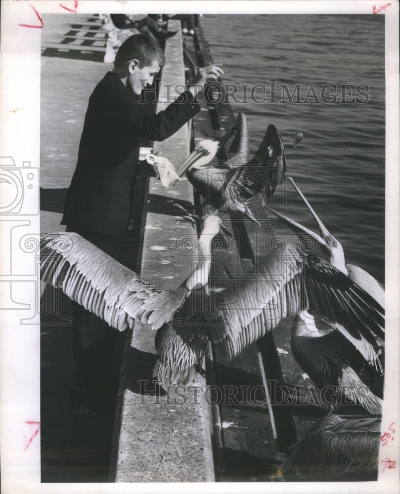 1966 Press Photo ST. PETERSBURG MUNICIPAL PIER BRUCE VA- RSA17647- Historic Images