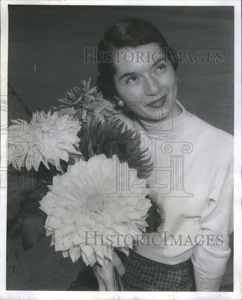 1952 Press Photo giant dahlias measuring up 12 inches d- RSA18635- Historic Images