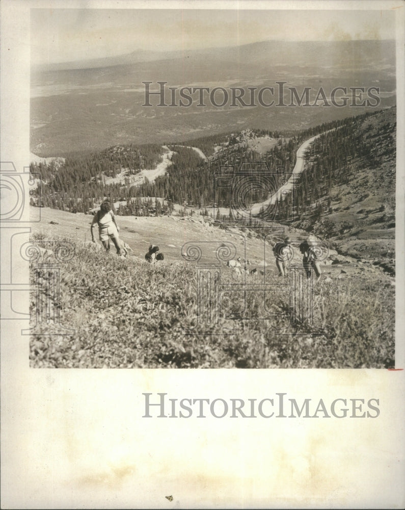 1977 Press Photo Colorado Secretary State Mary Estill B- RSA22293- Historic Images