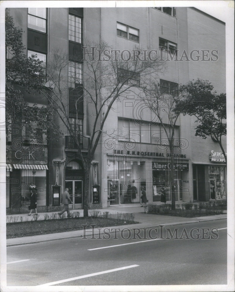 1968 Press Photo Moline elms Michigan Salt Ohio Oak- RSA22813- Historic Images