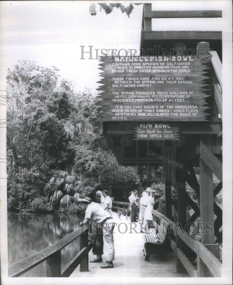 Homosassa Springs Wildlife State Park- RSA27737- Historic Images