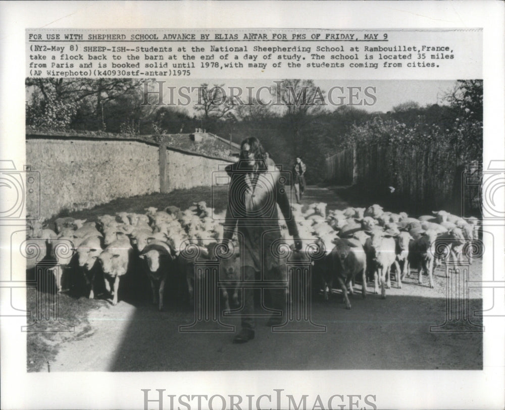 1975 Press Photo National Sheepherding School/Rambouill- Historic Images