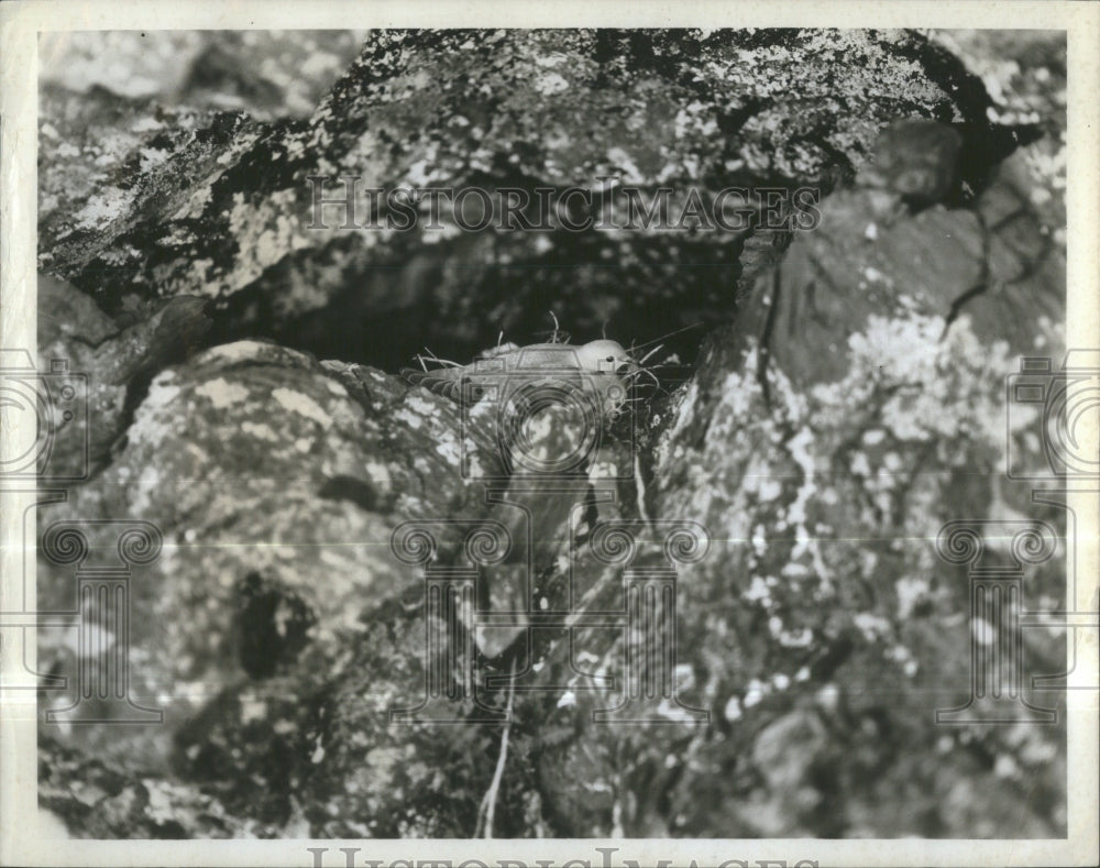 1965 Press Photo Moon National Monument Idaho Craters- RSA36585- Historic Images