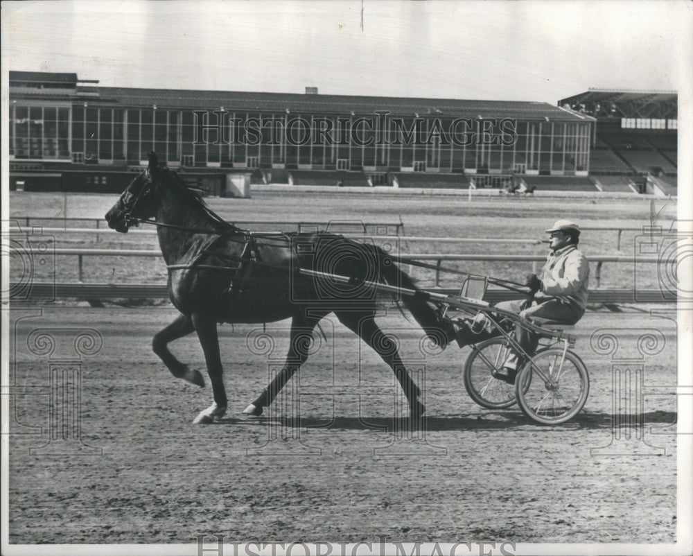 1965 Press Photo Bill Lonaker Harness Horse Racer - Historic Images