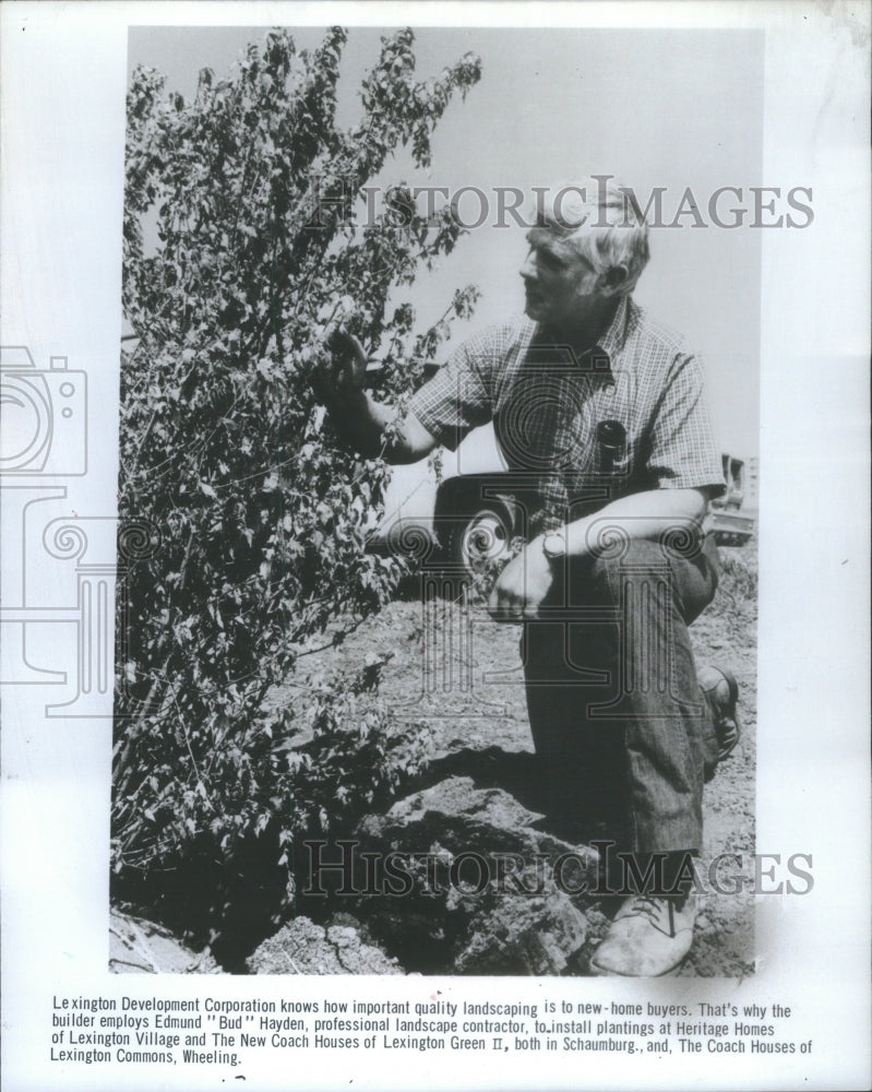 1980 Press Photo Landscape contractor Edmund examines planting Lexington Corp- Historic Images