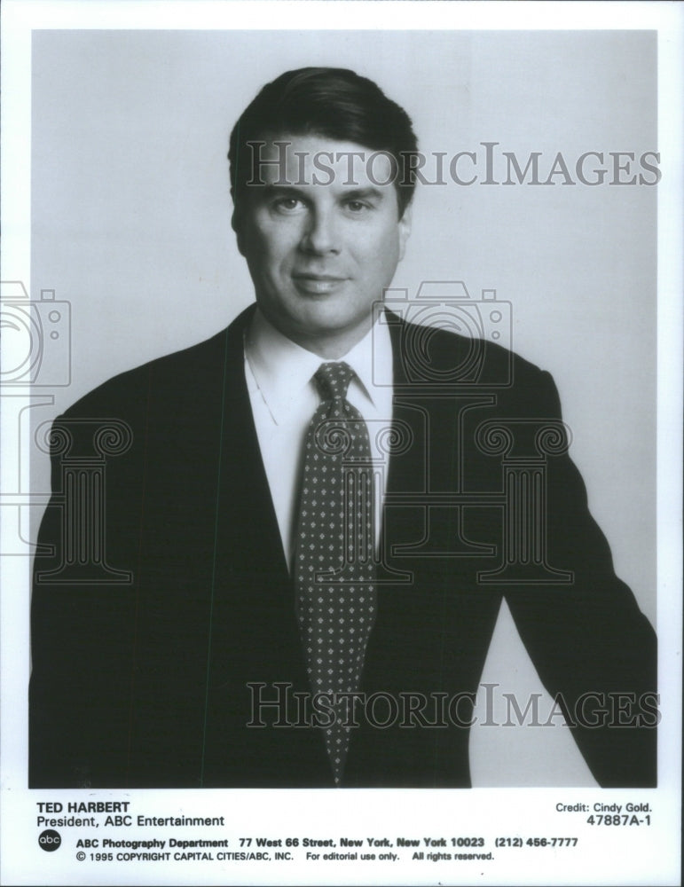 1996 Press Photo Ted Harbert President ABC Entertainment- RSA64797- Historic Images