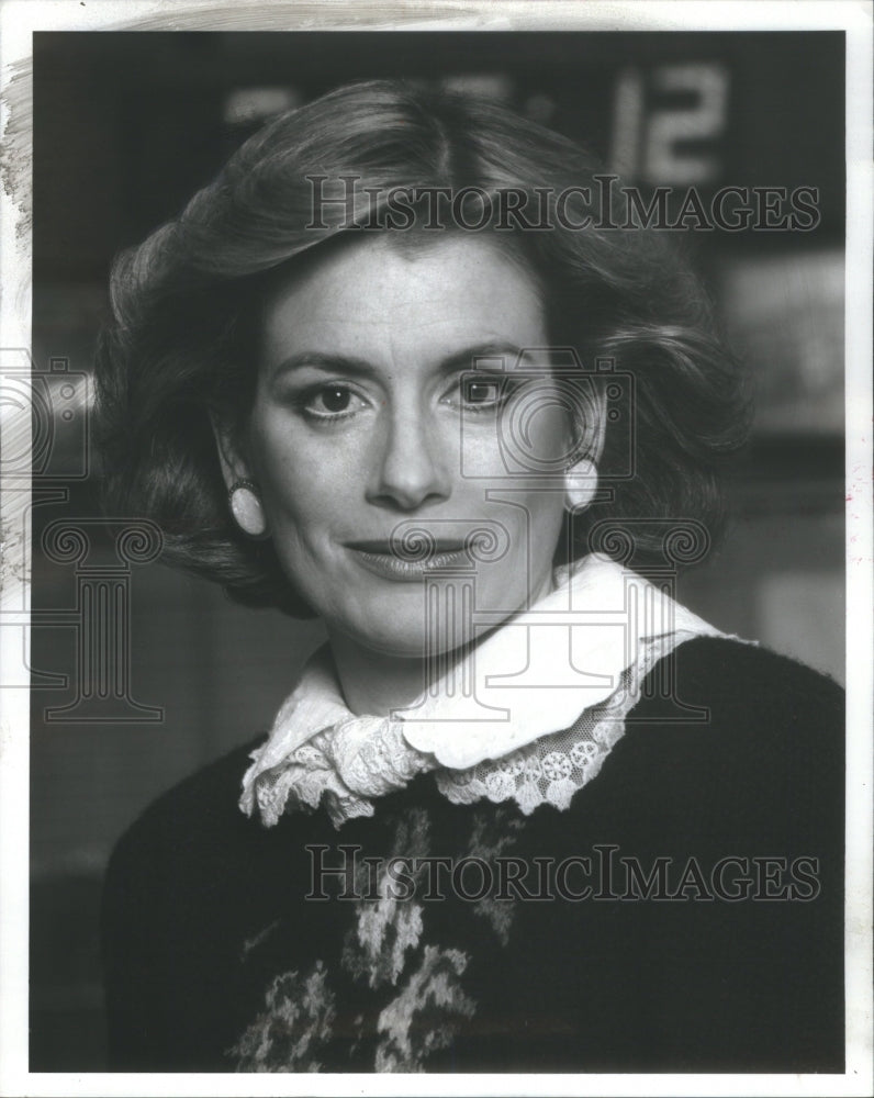 1984 Press Photo  Susan Anderson, Anchor/Reporter Channel 2 News, Chicago, IL- Historic Images