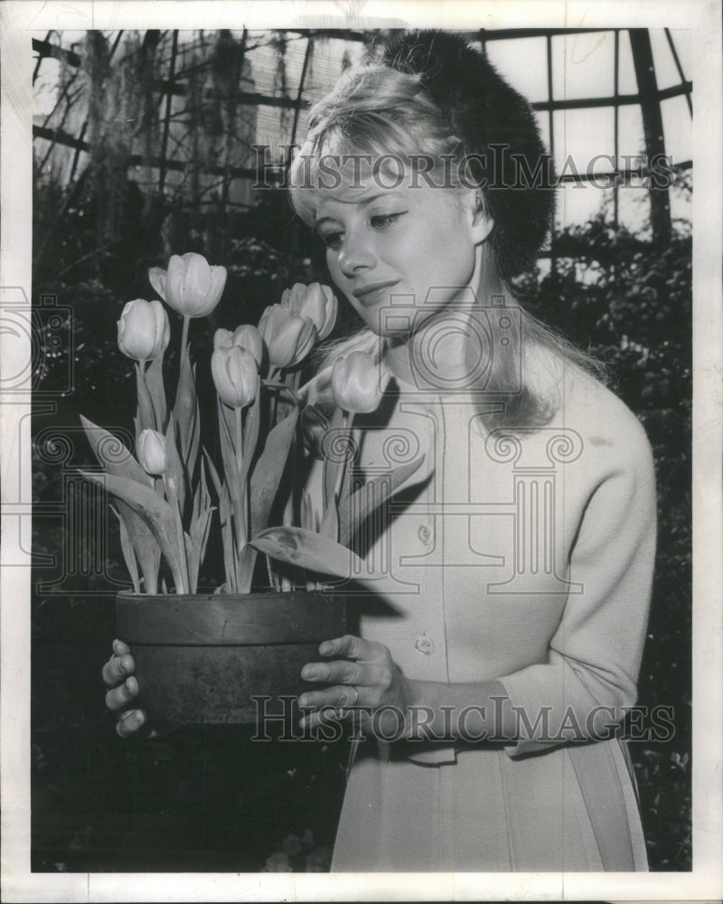 1962 Press Photo Movie Star Shirley Knight Lincoln Park Conservatory day Flower- Historic Images