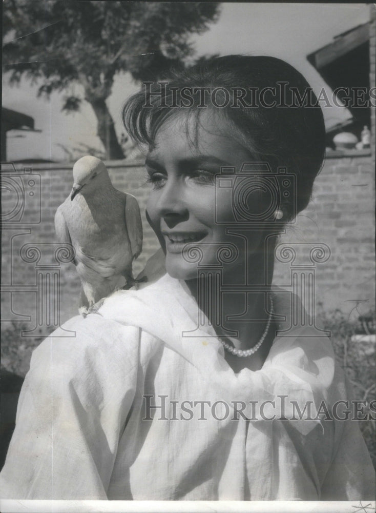 1966 Press Photo Valerie Gearon Mark Robson Nine Hours Rama Jose Ferrer Robert - Historic Images