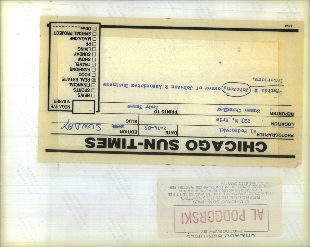 1985 Press Photo Cynthia Johnson United States Chicago City Businesswoman