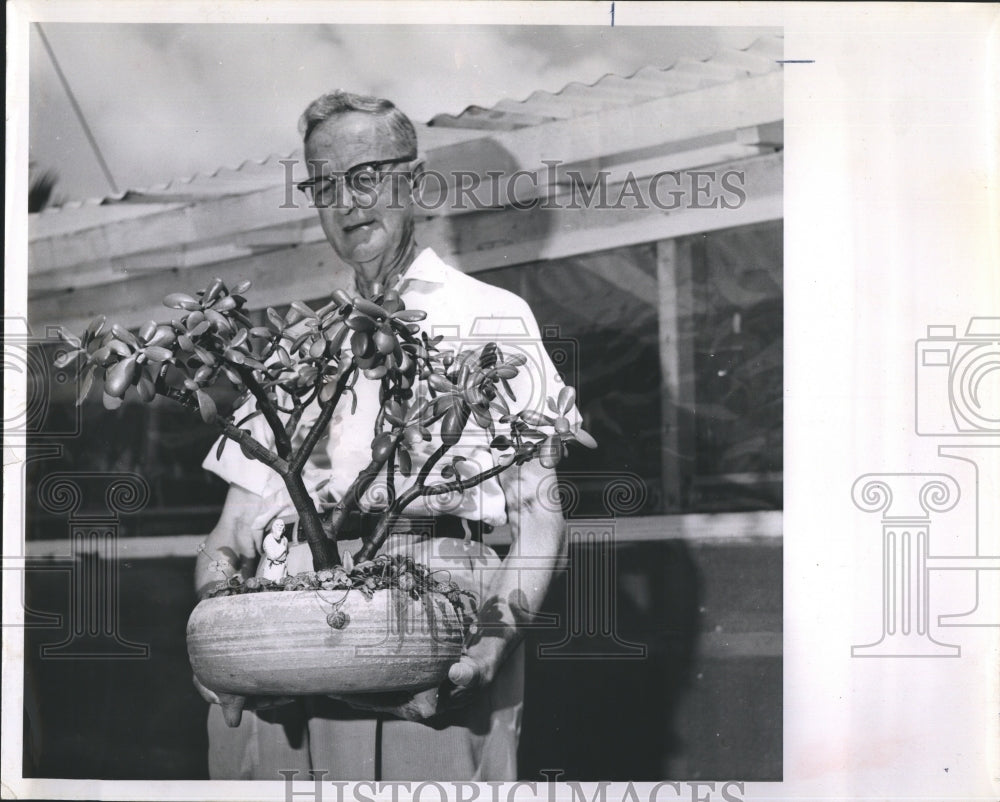 1963 Press Photo E. W. Palmer Holds Cherished Jade Plant- Historic Images