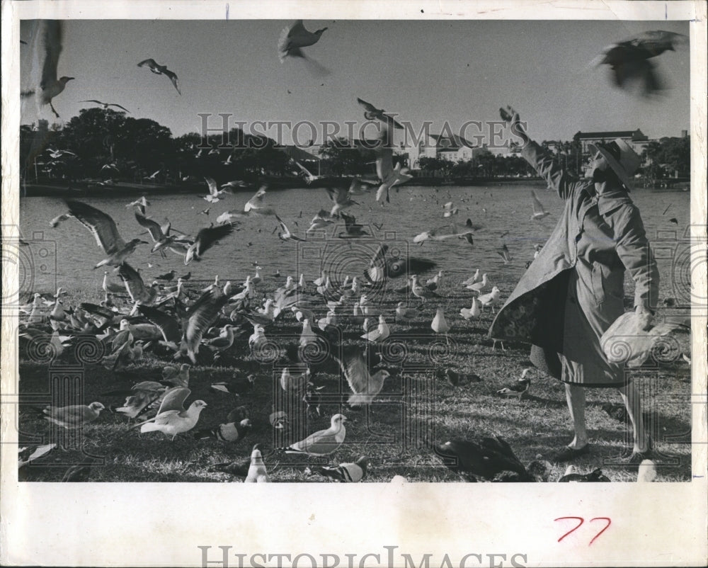 1965 Press Photo A man who makes bird feeding- Historic Images