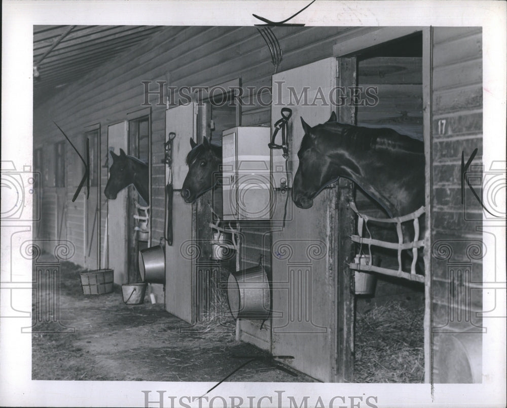 1945 Press Photo Horse Racing Detroit Stables A.F. Wall - RSH35445- Historic Images