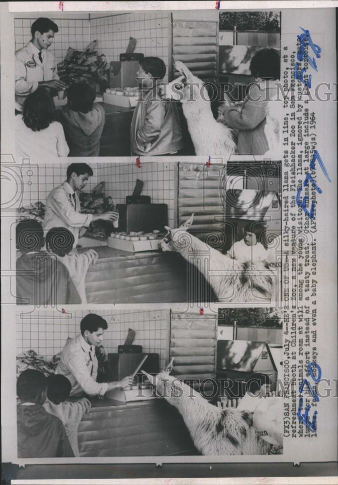 1964 Press Photo A Llama gets in line with children at a refreshment booth