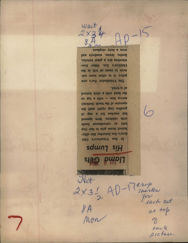 1964 Press Photo A Llama gets in line with children at a refreshment booth