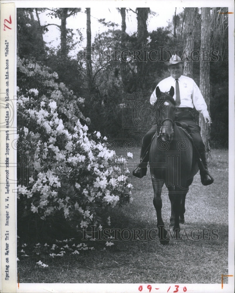 1970 Press Photo Boyd Hill Nature Trail ranger W.W. Ledgerwood on his horse