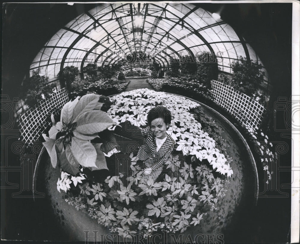 1967 Press Photo Christmas Flower Show at Garfield Park Conservatory - RSH66549
