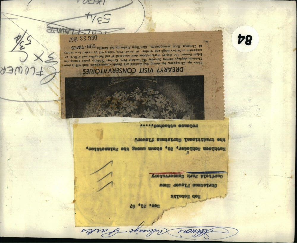 1967 Press Photo Christmas Flower Show at Garfield Park Conservatory - RSH66549