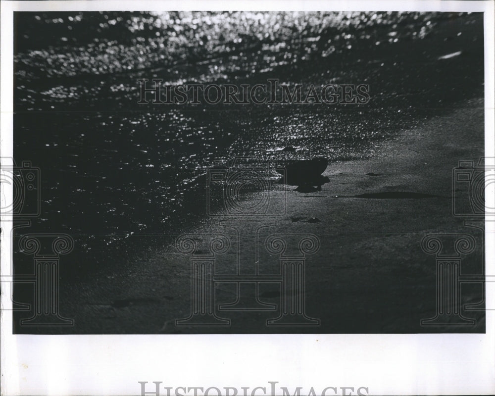 1965 Press Photo Sea Shores - RSH75251