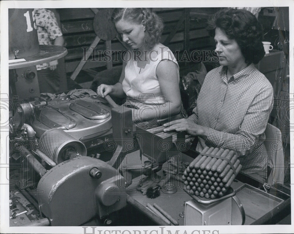 Press Photo Rolling Cigar. - RSJ01579