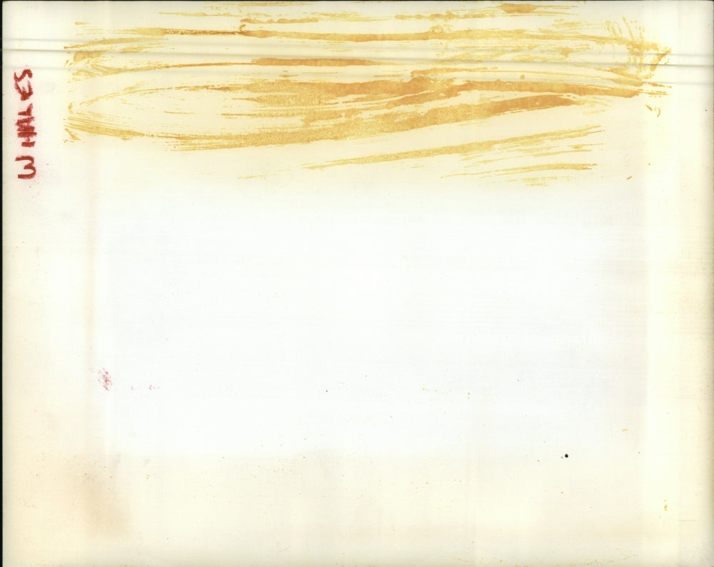 Press Photo Group of whales warm blooded swimming in ocean waters - RSJ01947