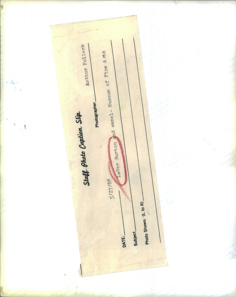 1988 Press Photo LeVar Burton ANd Camel At Museum, Of Fine Arts "Roots" Star