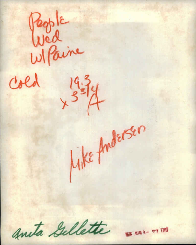 1977 Press Photo Anita Gillette Actress